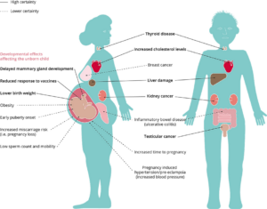 Anatomical diagram showing how harmful fumes and oils released into the environment if not using single phase liquid immersion cooling can effect the human body.