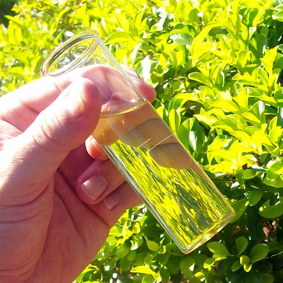Hand holding a small clear glass bottle filled with yellow liquid outdoors amid bright green foliage, sunlight reflecting off the glass.
